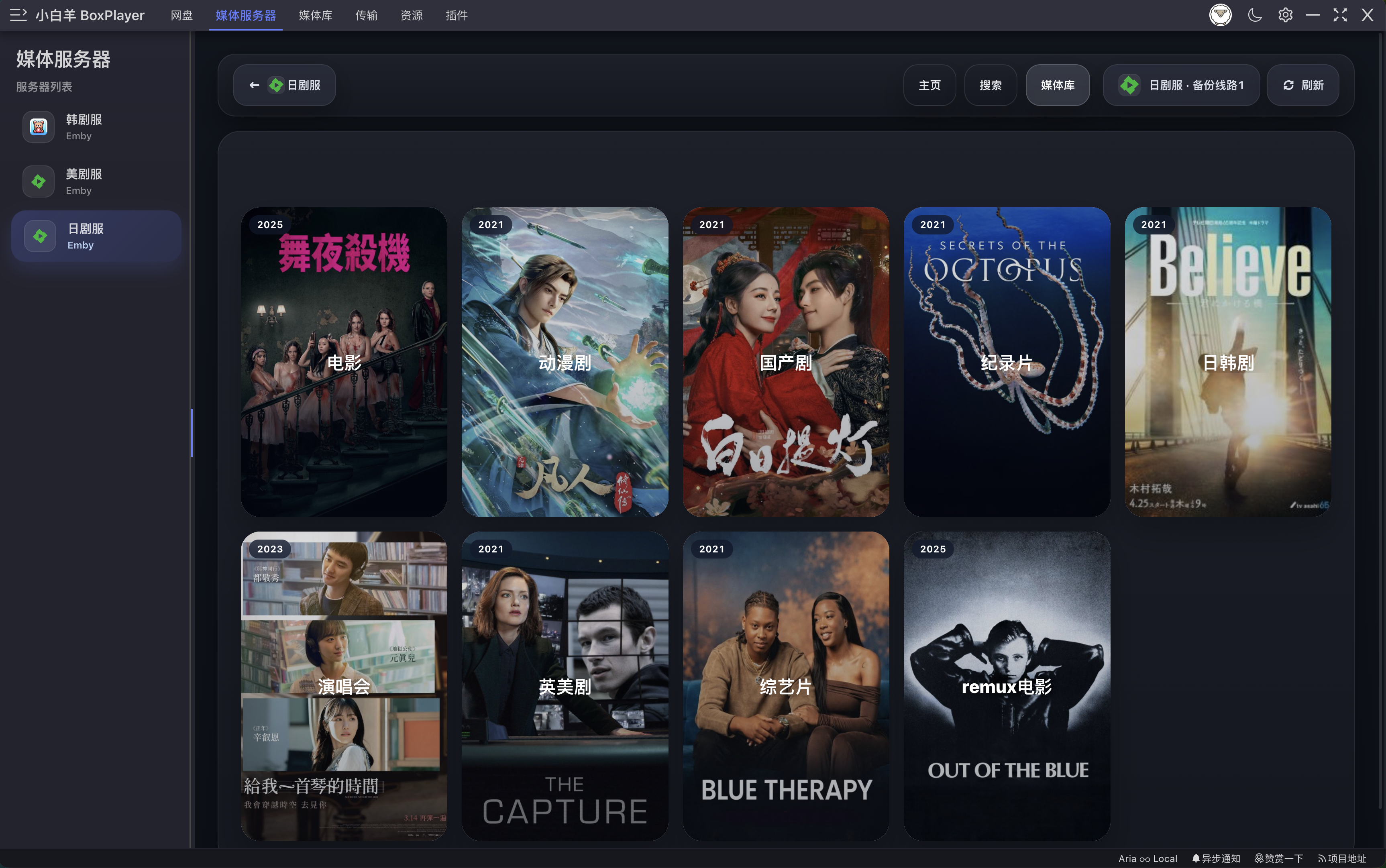 BoxPlayer 媒体库界面 — 海报墙、TMDB 元数据、剧集自动识别
